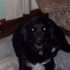 Meet your Posher, Salvatore